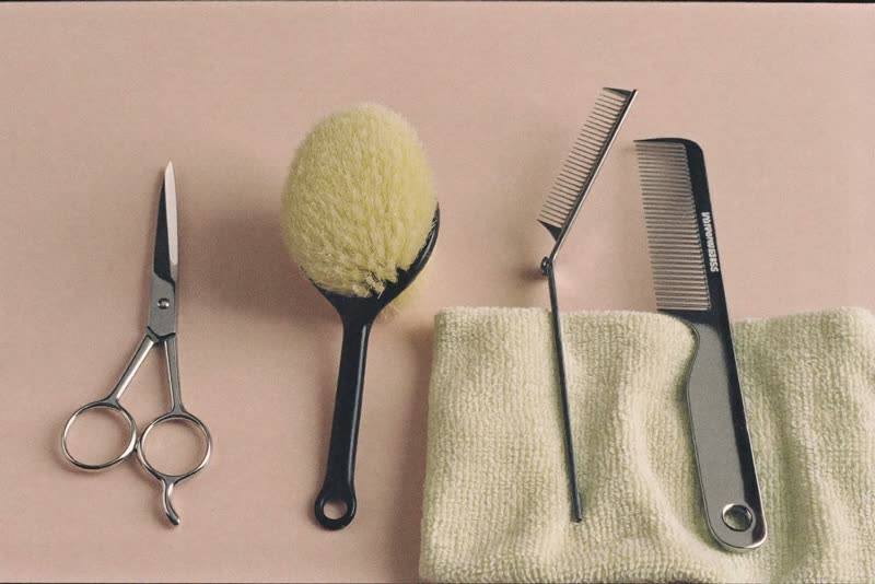 Grooming scissors, brush, comb and a folded towel laid out